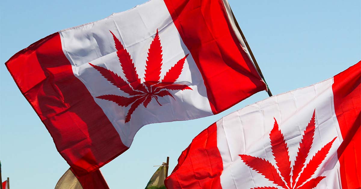 4 ans de légalisation du cannabis au Canada