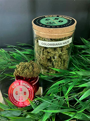 Colombiana Haze