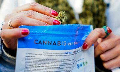 Echechs de la légalisation du cannabis en Uruguay