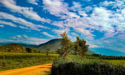 Cannabis médical en Ouganda