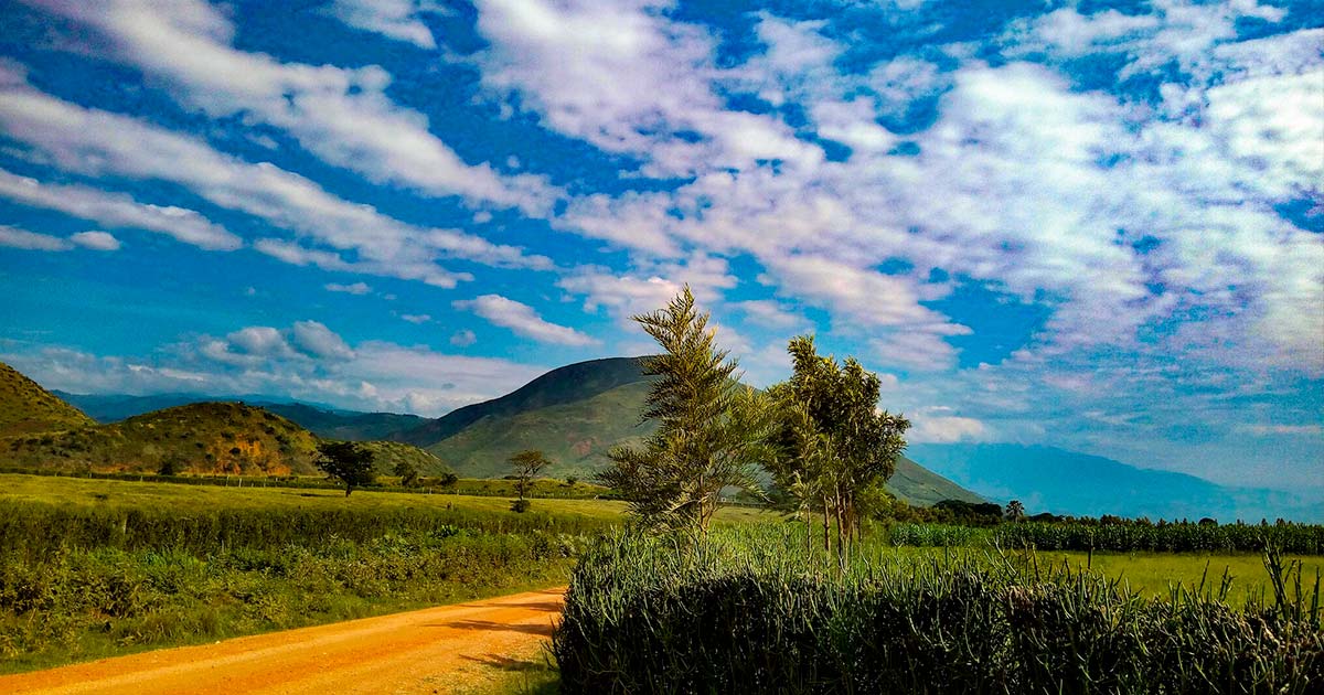 Cannabis médical en Ouganda