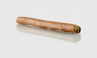 Blunt
