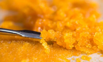 BHO