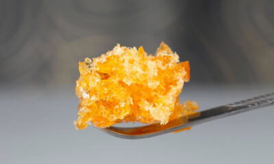 Crumble, concentré de cannabis