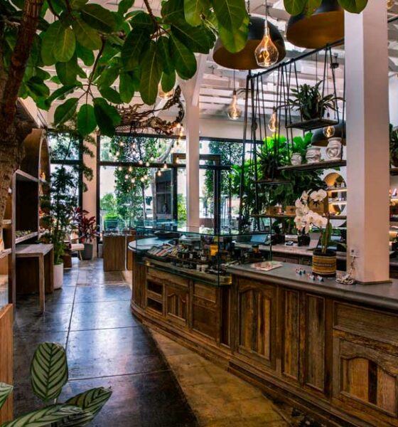 Dispensaire de cannabis
