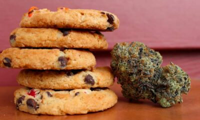 Les edibles de cannabis