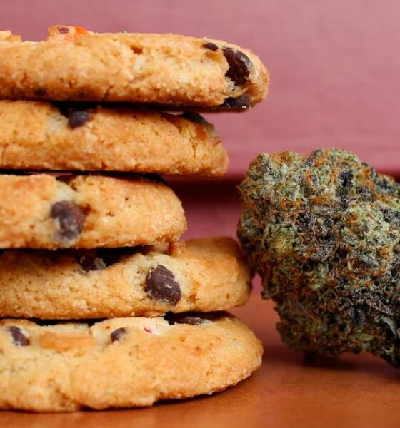 Les edibles de cannabis