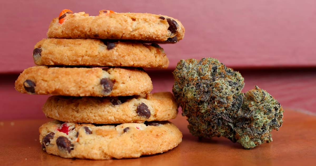 Les edibles de cannabis