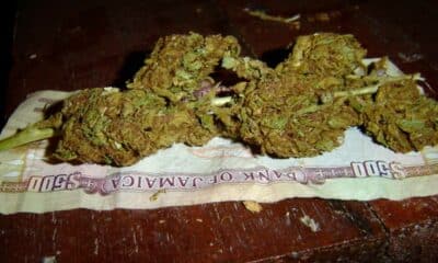 Ganja