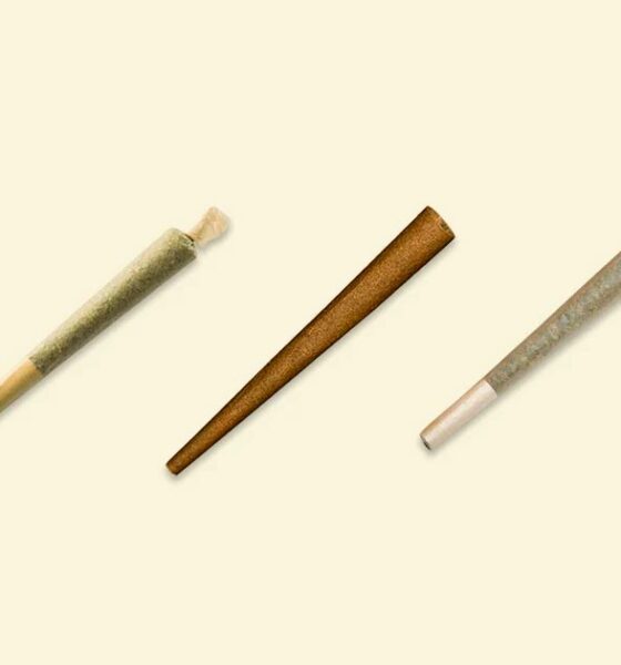Joint cannabis : définition, types et comparaison spliff, blunt