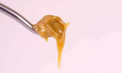Propane Hash Oil (PHO)
