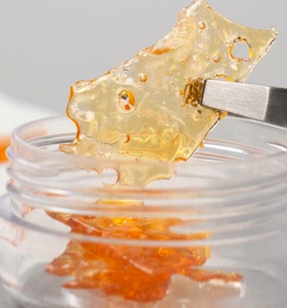 Shatter cannabis : dfinition, fabrication et comment le consommer - Newsweed Shatter cannabis : dfinition, fabrication et comment le consommer - Newsweed