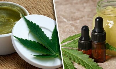 Cannabis topicals