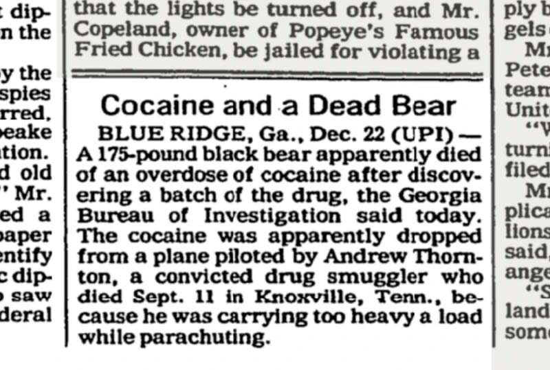 El artículo original sobre el oso de la cocaína