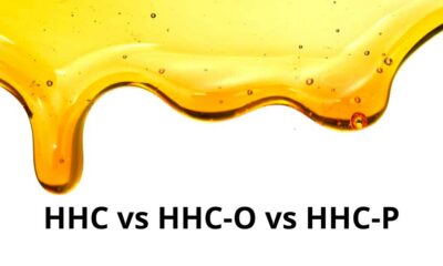 HHCO et HHCP