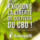 Kokopelli et culture du CBD