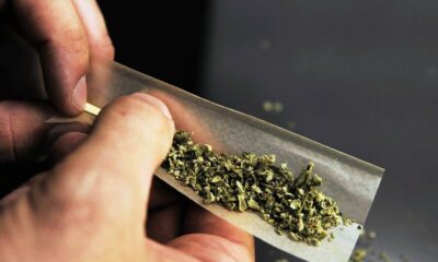 Tendances de la consommation de cannabis en France