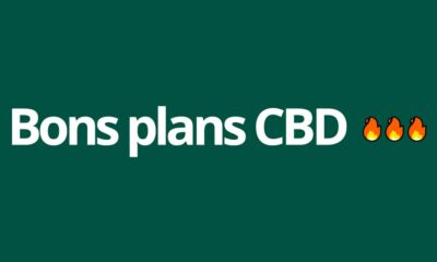 Bons plans CBD