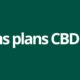 Bons plans CBD