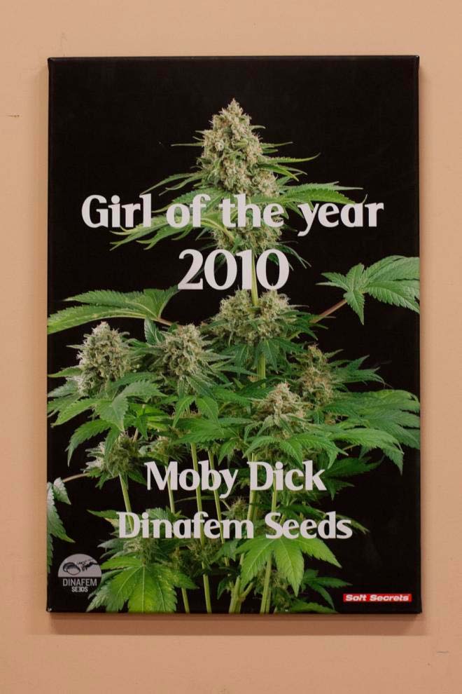 Prix 2010 pour la Moby Dick