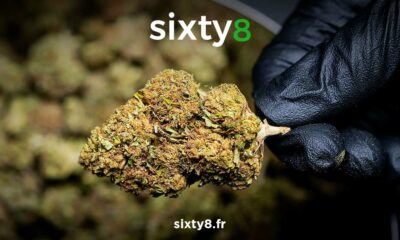 Achat de CBD en Suisse