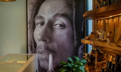 Dispensaire de cannabis Bob Marley