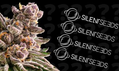 Concours Silent Seeds