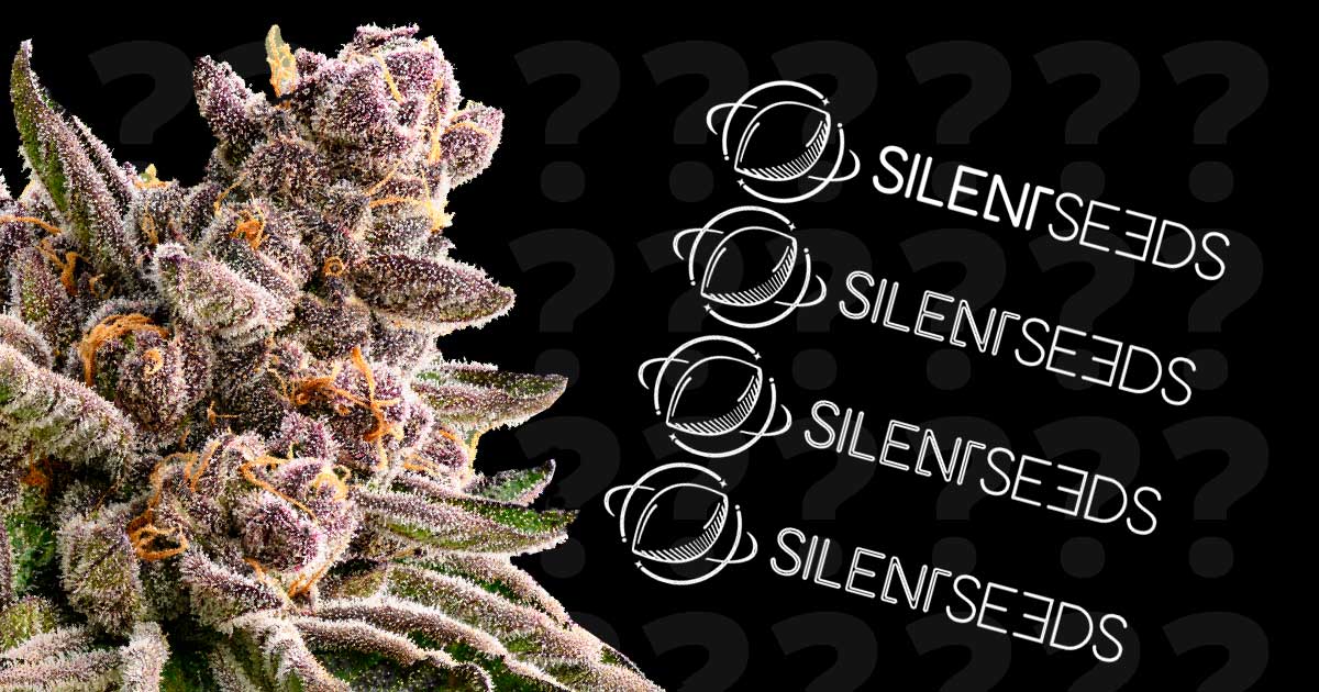 Concours Silent Seeds