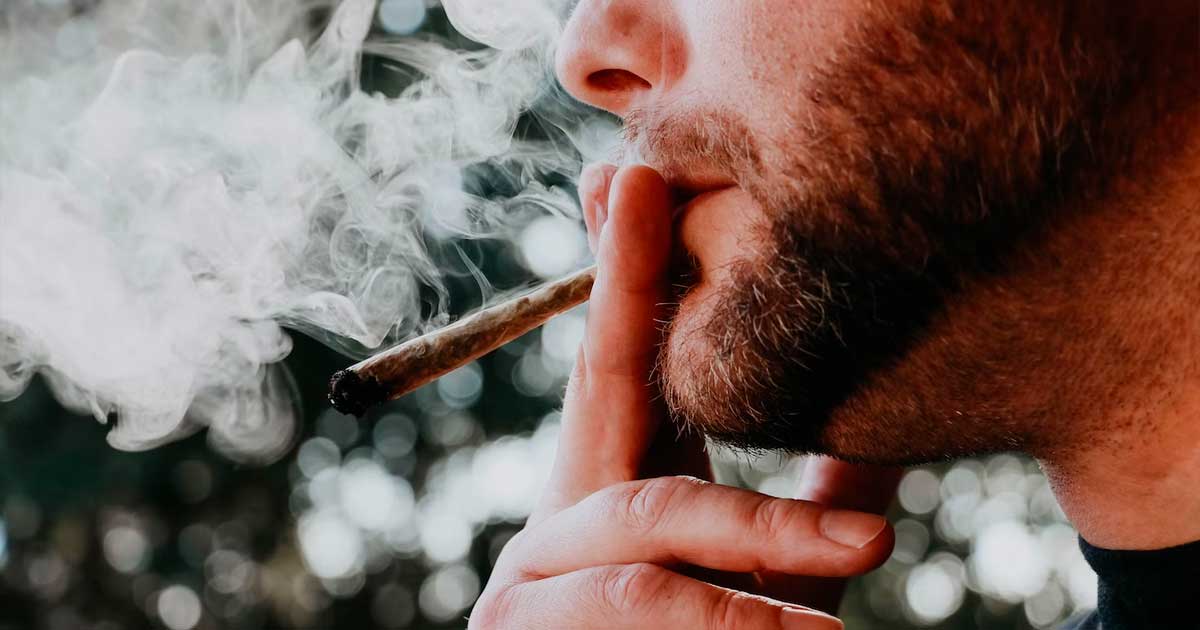 Drogue à Genève: Ici, on fume plus de cannabis qu'à Amsterdam. Voici  pourquoi