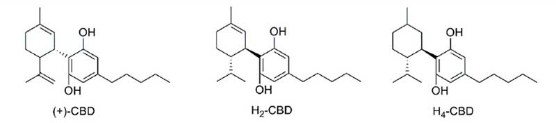 Molecola H4CBD