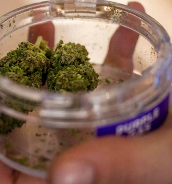 Cannabis légal à Lausanne