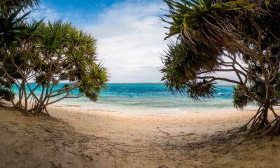 Export de cannabis médical au Vanuatu