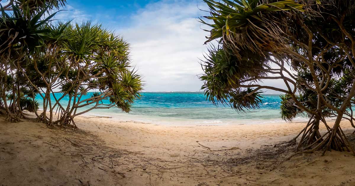 Export de cannabis médical au Vanuatu