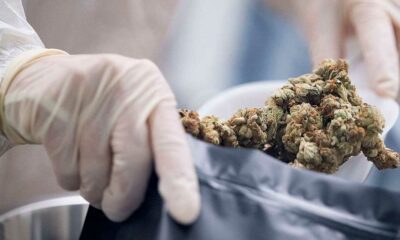 Cannabis médical au Kentucky