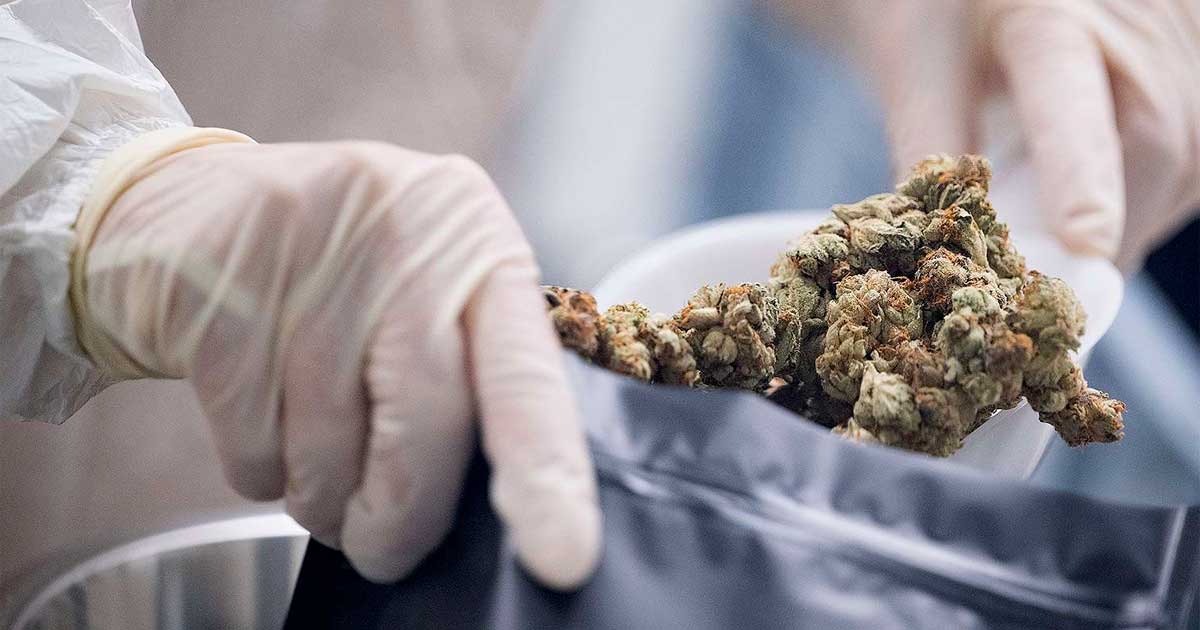 Cannabis medicinal en Kentucky