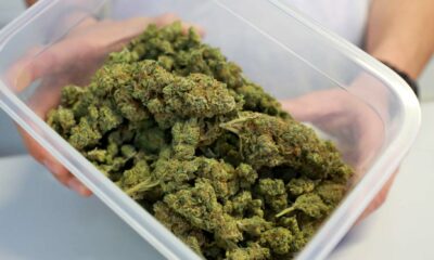 Légalisation du cannabis au Luxembourg