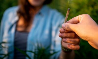 Une amende cannabis à 10000 euros