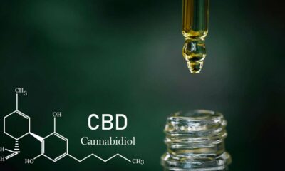 Effets du CBD sur la santé