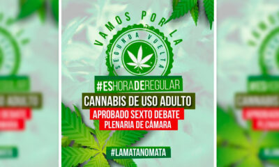 Projet de légalisation du cannabis en Colombie