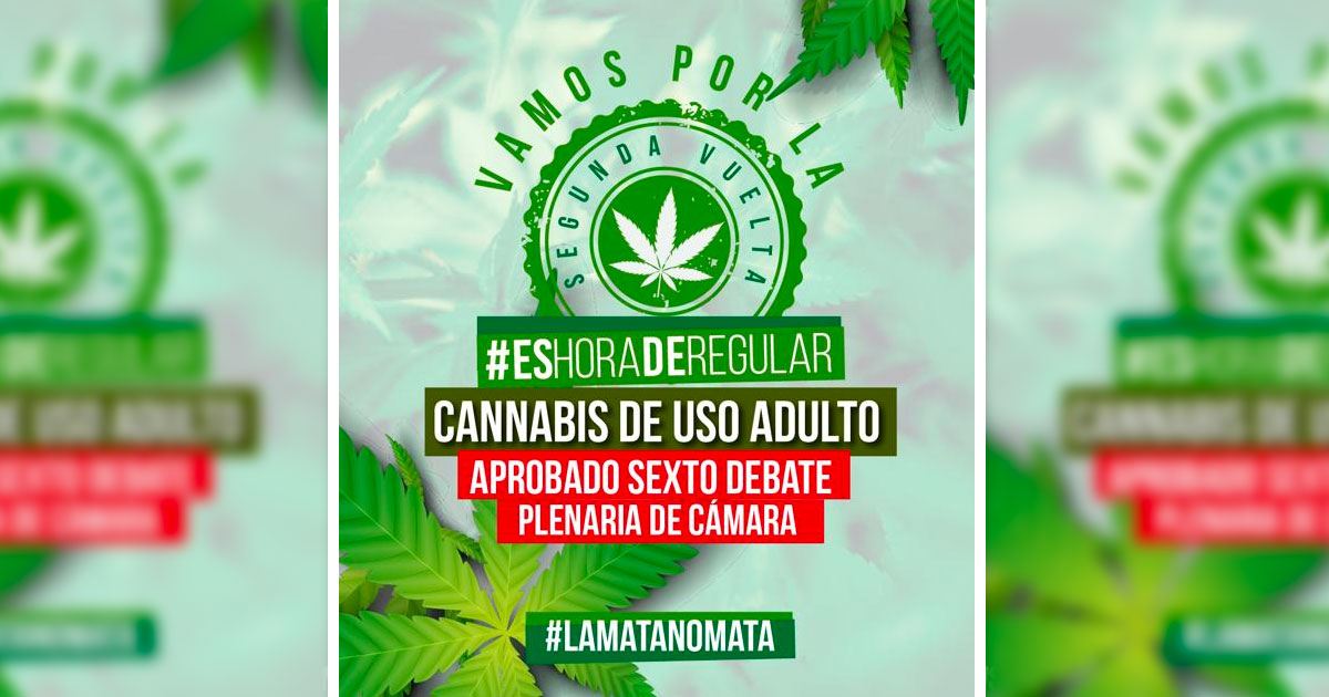 Projet de légalisation du cannabis en Colombie