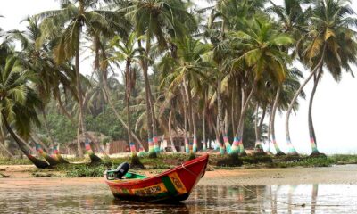 Licences de chanvre au Ghana