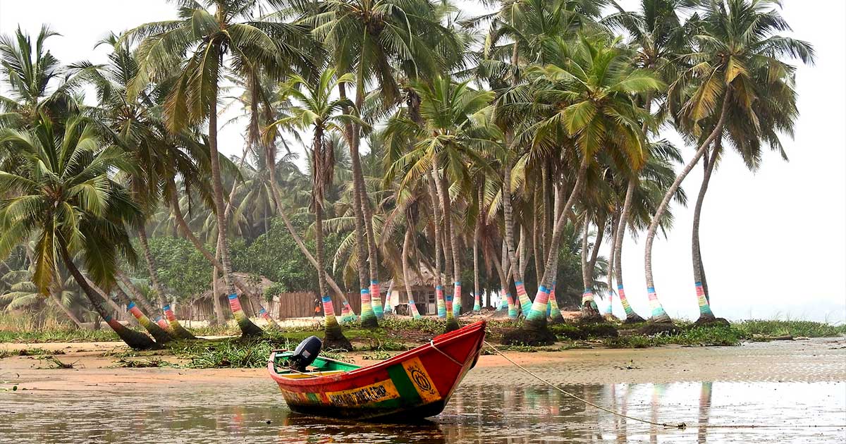 Licences de chanvre au Ghana