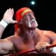 Hulk Hogan se lance dans le cannabis