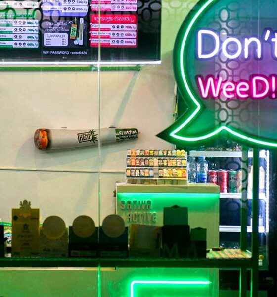 Retour sur la légalisation du cannabis