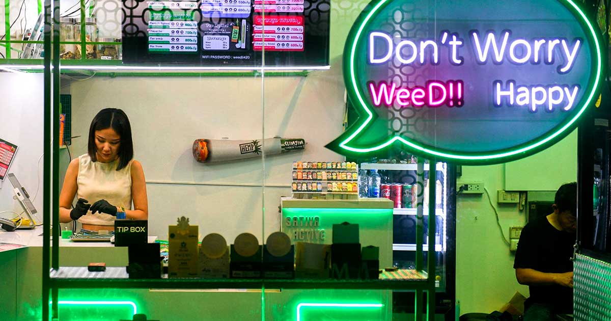 Retour sur la légalisation du cannabis