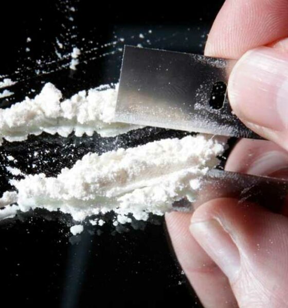 Vente légale de cocaïne à Berne