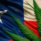 Chili et cannabis