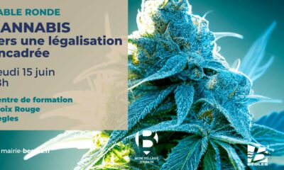 Légalisation du cannabis à Bègles