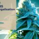 Légalisation du cannabis à Bègles