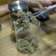 Nouvelles règles des Cannabis Clubs à Malte